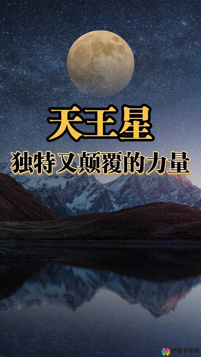 第9中文网，探索网络世界的无限可能-第2张图片