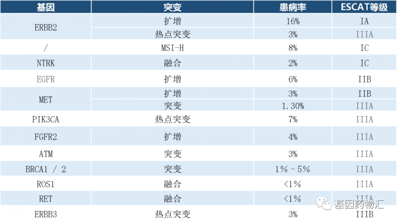 一码一肖，概率与准确性探讨