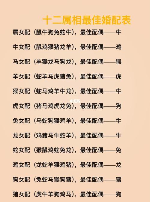 二八追求五迟疑是什么生肖-第2张图片