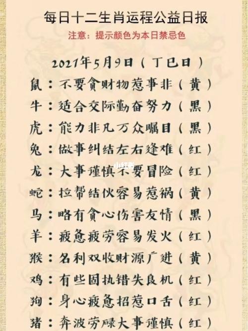 二八追求五迟疑是什么生肖二八追求五迟疑是什么生肖-第3张图片