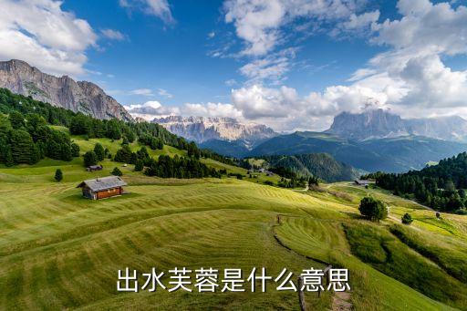 出水芙蓉是指什么意思出水芙蓉的含义-第2张图片