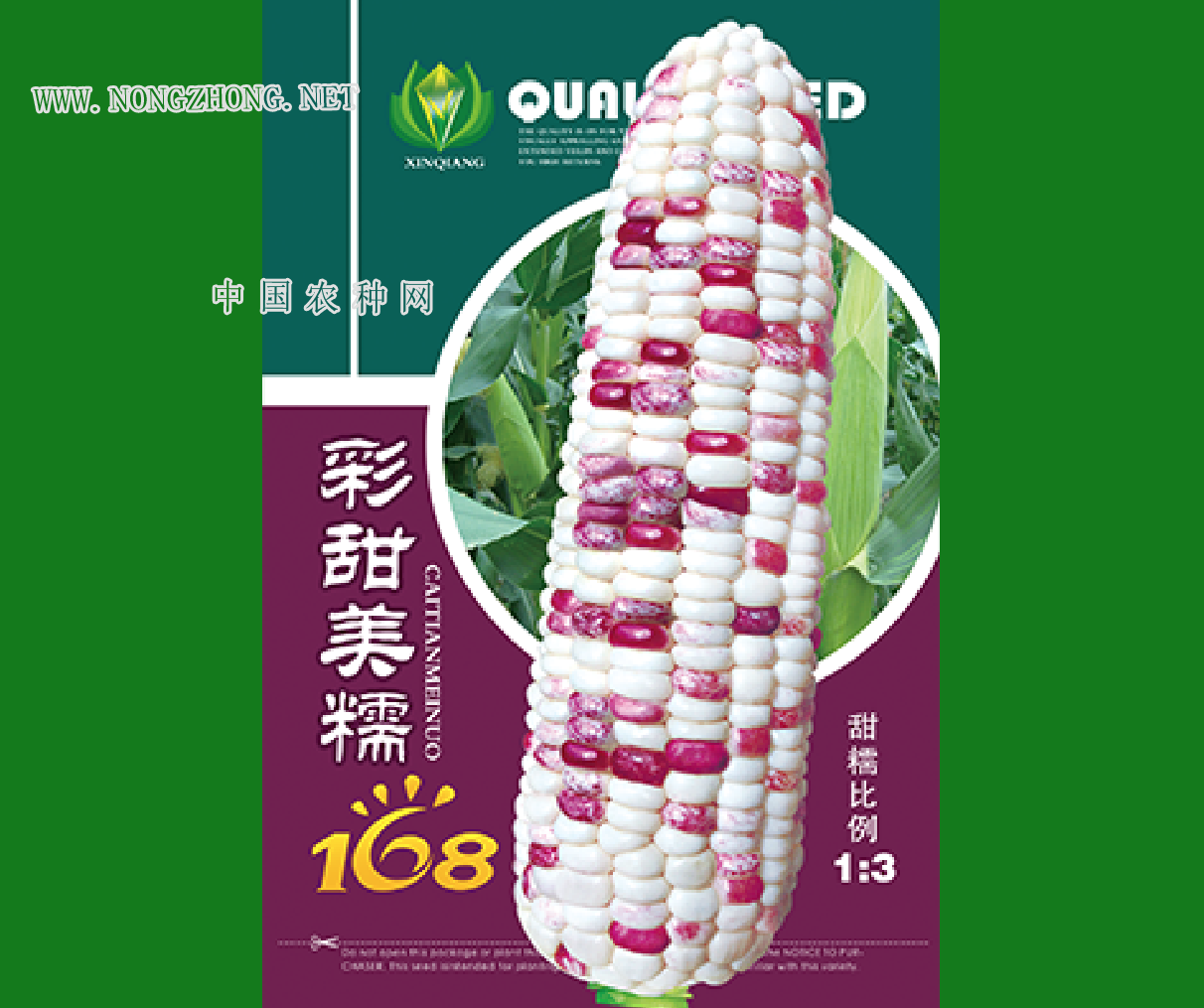 中国彩摘网中国彩摘网，引领彩市新风尚-第2张图片