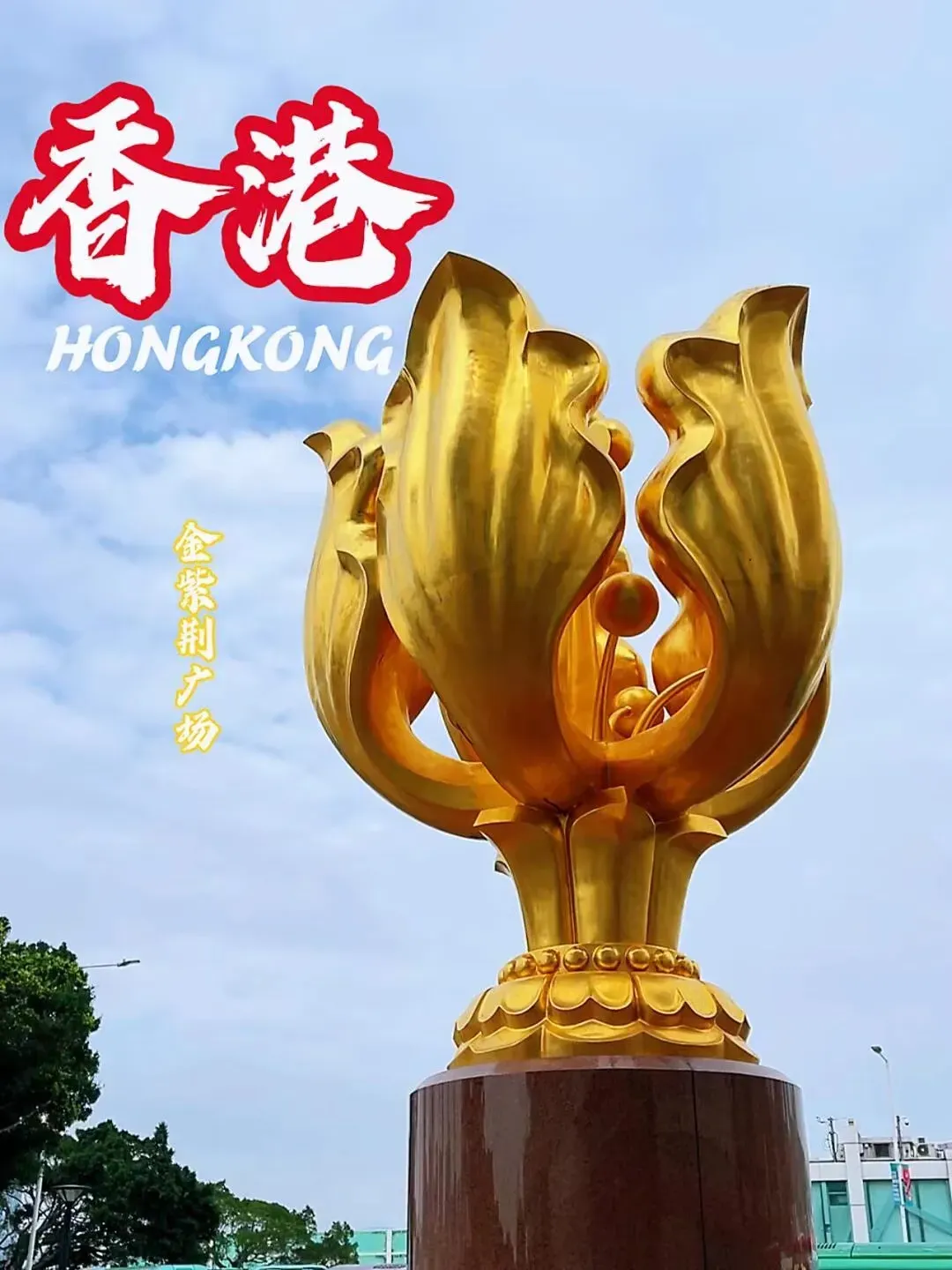 2025港资料免费大全香港开奖直播，揭晓幸运时刻