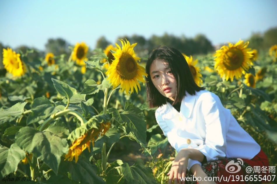 银女娱乐论坛银女娱乐论坛，探索娱乐新天地-第2张图片