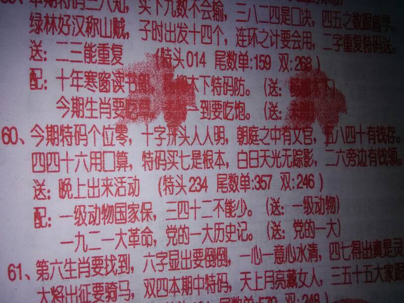 今天买什么特马今天买什么特马-第2张图片