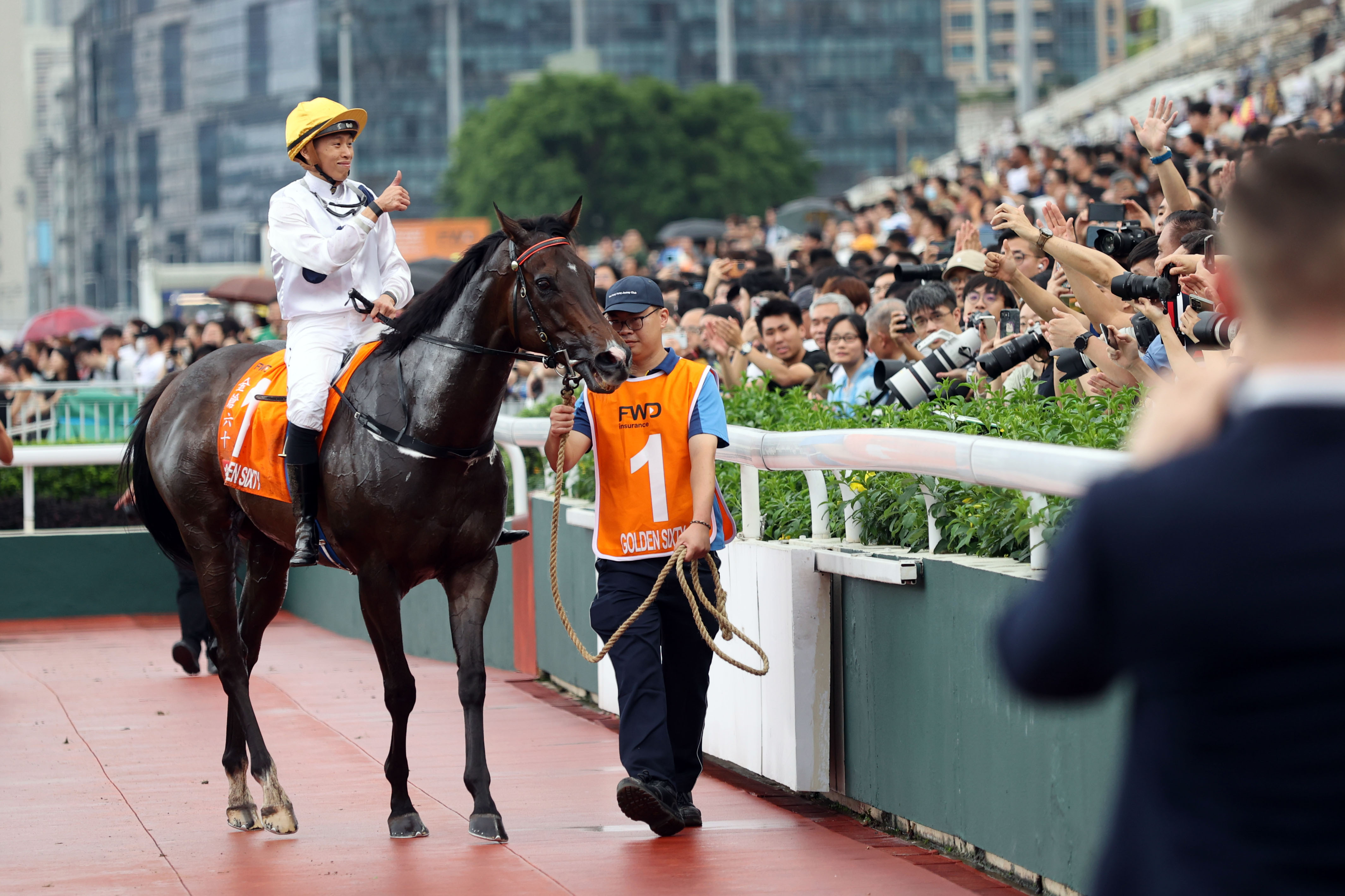 香港内部资料和公开资料香港内部资料与公开资料概述