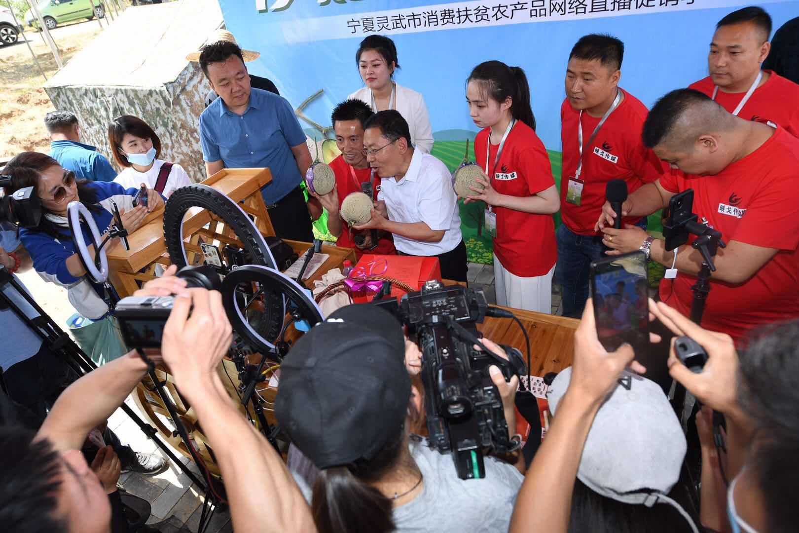 荷桂生态文化旅游节公司是做什么荷桂生态文化旅游节盛大开幕-第1张图片
