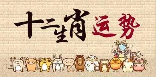 四肖期期中准，预测未来的秘诀-第3张图片