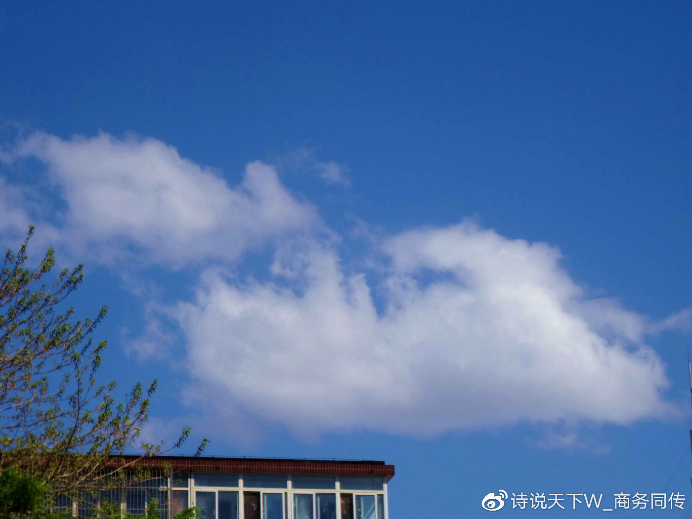 天下彩与天空免费资料天下彩与天空免费资料-第2张图片