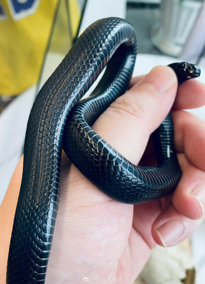 黑切是什么意思黑切是什么