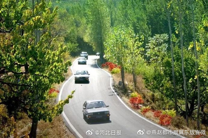 河北一定牛11选五河北一定牛11选五-第2张图片