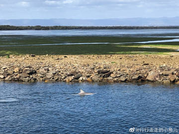 小鱼儿主页小鱼儿主页，探索无限可能-第2张图片