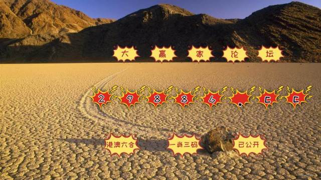 一肖准特最准一肖一，100%准的神秘预测-第3张图片