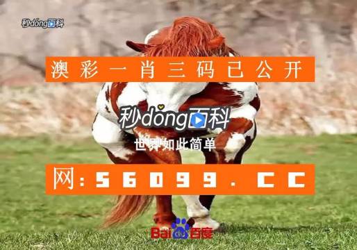 澳门一肖一码100精准-第1张图片