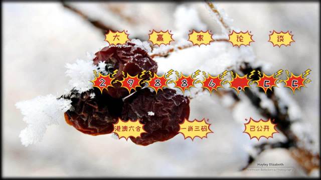 最准一肖一.100%准最准一肖一，100%准的神秘预测-第1张图片