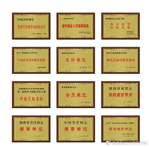 澳门正版资料2021新澳门正版资料免费更新，解锁知识新纪元