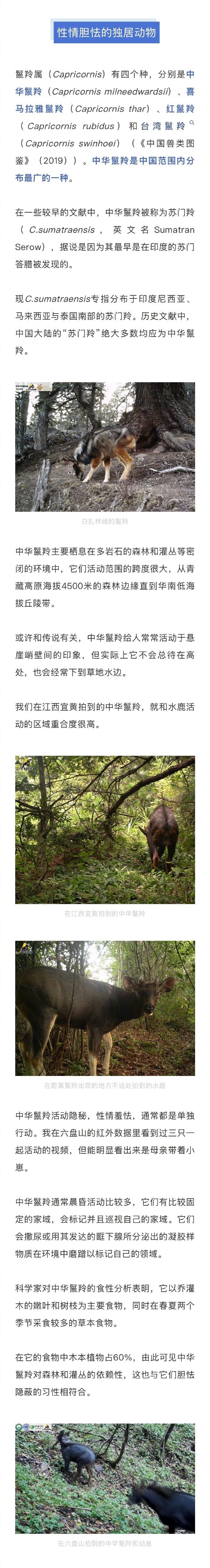 澳门一肖一码100准确性的文章