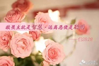 终极道小说终极道，探寻真理的智慧之路