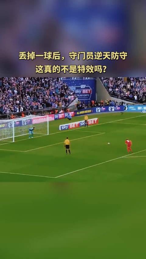 博狗体育，体育竞技的新篇章