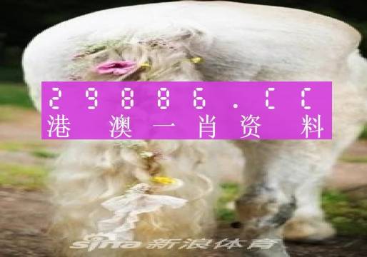 四肖三期内必出一肖-第2张图片