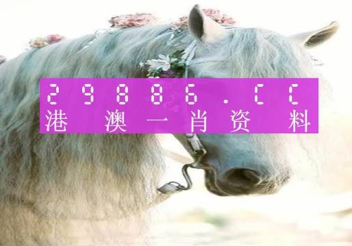 一码一肖，100%资料大全-第2张图片