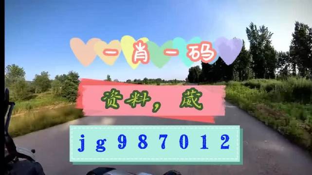 澳门一肖一码，准确率100%的神秘预测