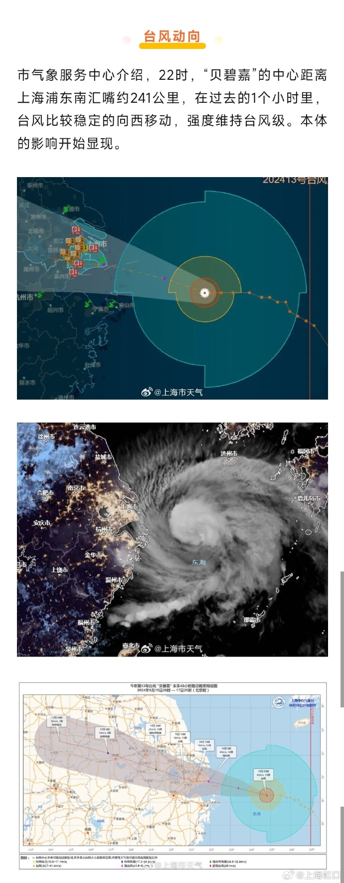 上海遭遇台风，风雨中的城市之旅