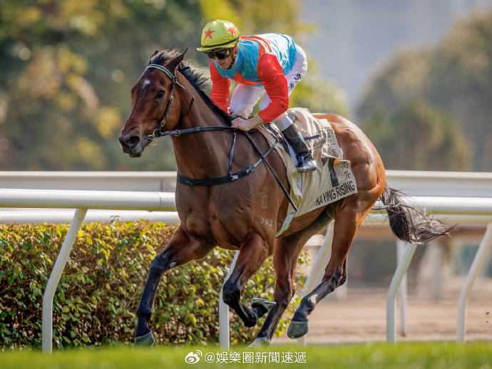香港赛马官网，探索赛马世界的门户
