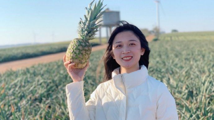 红姐网，引领网络新潮流