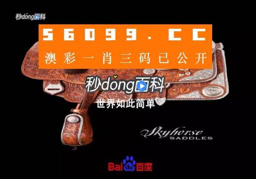 新澳门，一码一肖一特一中的神秘魅力-第3张图片