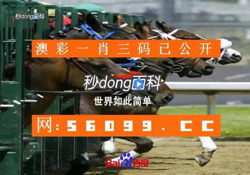 澳门最精准免费全网资料2023澳门最精准免费全网资料文章-第2张图片