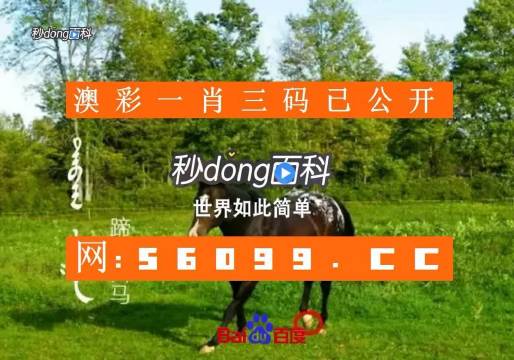 红姐统一图库彩图免费，为您呈现精彩内容-第2张图片