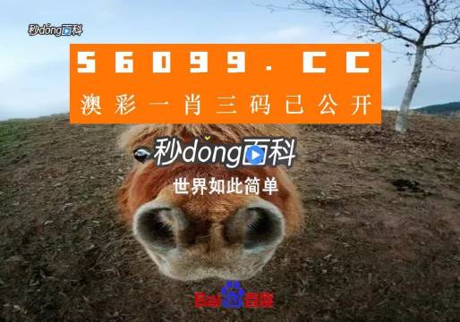 一码一肖100准今晚澳门