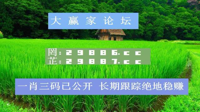 一肖一码公开资料一码一肖，揭示100%资料大全-第2张图片
