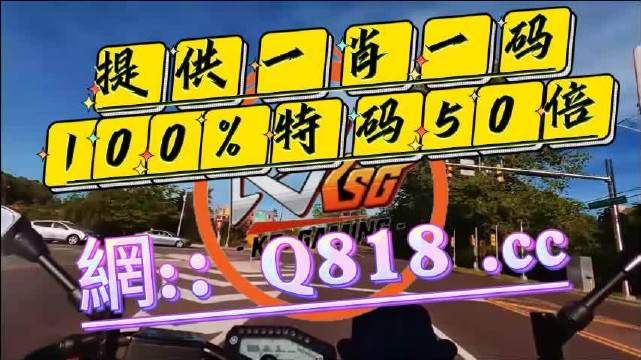 王中王开奖结果查询官网王中王开奖结果揭晓，49333