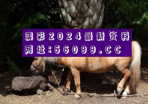 澳门资料大全，正版资料258期-第2张图片
