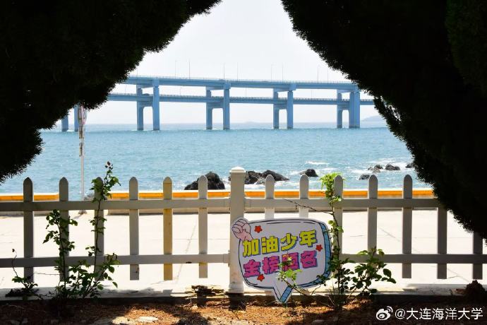 大连娱网大连娱网，娱乐新天地-第2张图片