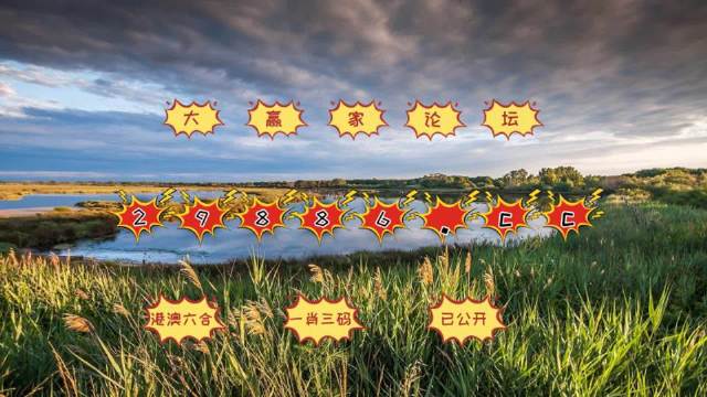 三肖期期中，预测与策略
