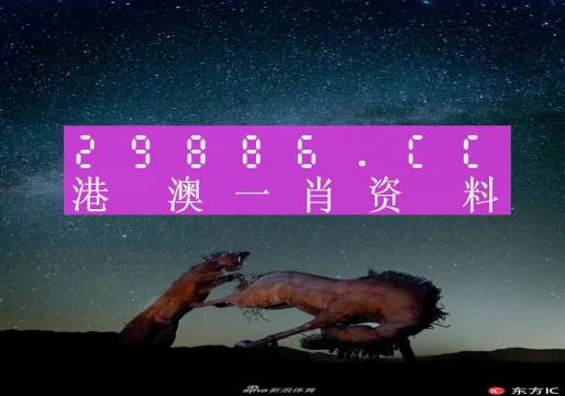 彩霸王，引领潮流的神秘力量