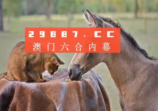 港澳台49图库免费资料港澳台49图库免费资料，探索无限创意与灵感