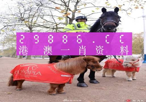 9426香港最准最快资料介绍-第1张图片