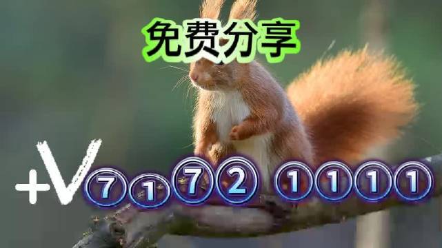 澳门六开奖结果资料查询最新2023