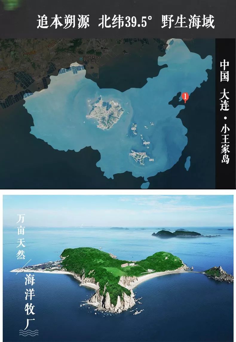 大洋岛娱乐论坛大洋岛娱乐论坛，探索多元文化与娱乐新天地