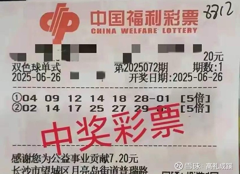 彩票总站，探索彩票的世界